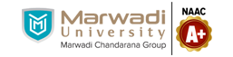 Marwadi University Career